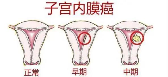 微信图片_20200722153750.jpg
