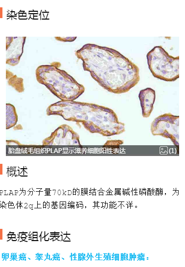 微信图片_20201205144041.png