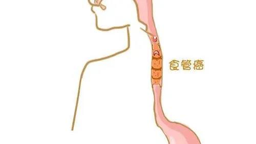 微信图片_20200722153752.jpg