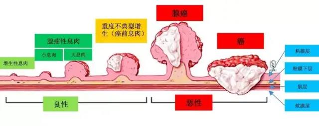微信图片_20210806140728.jpg