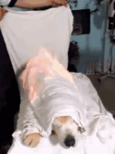 微信图片_20200729152917.gif