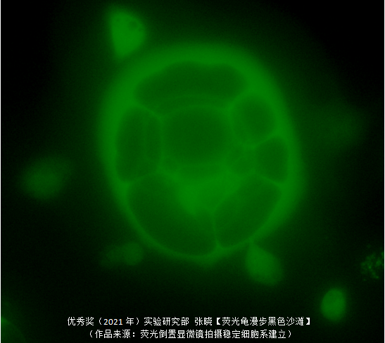 微信图片_20210714143533.png