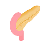 微信图片_20200729143837.png