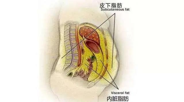 微信图片_20200709142354.jpg