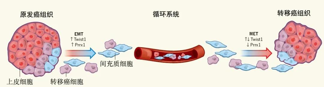 微信图片_20201230162235.jpg