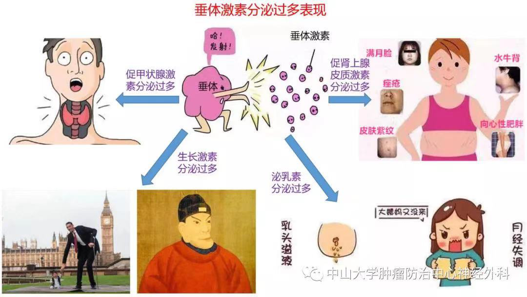 微信图片_20210312101241.png