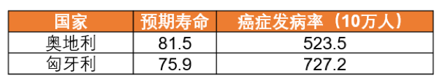 菠11.jpg