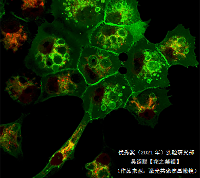 微信图片_20210714143539.png