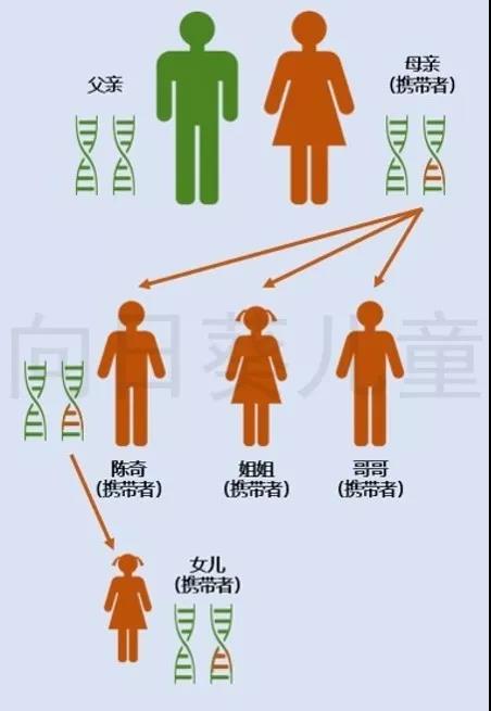 在少數情況下,致病的基因突變不是從父母那裡遺傳的,而是受精卵俘育