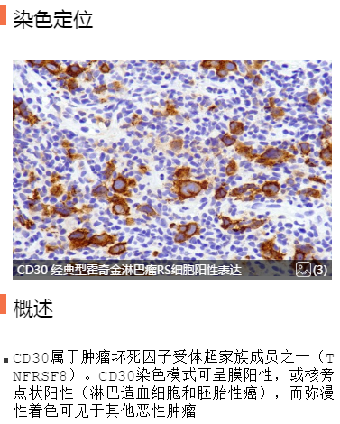 微信图片_20201205144045.png