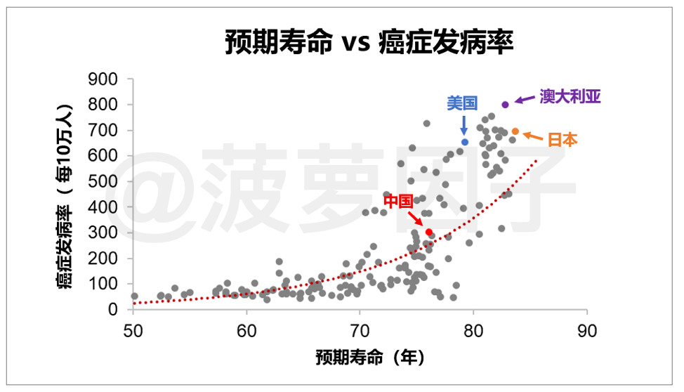 菠1.jpg