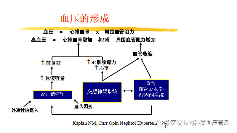微信图片_20190401092329.jpg