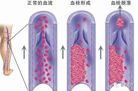 微信图片_20190603105546.jpg