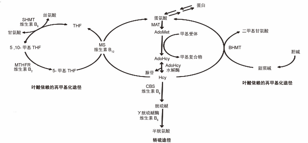 微信图片_20190408130652.jpg
