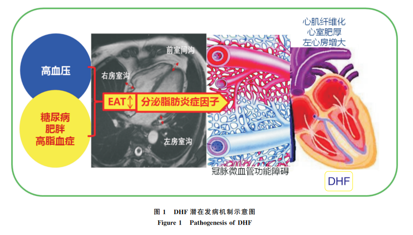 微信图片_20201230133321.png