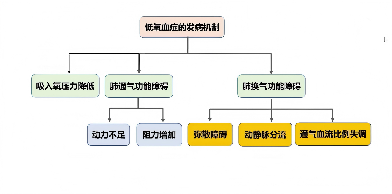 slide_0017(1).png