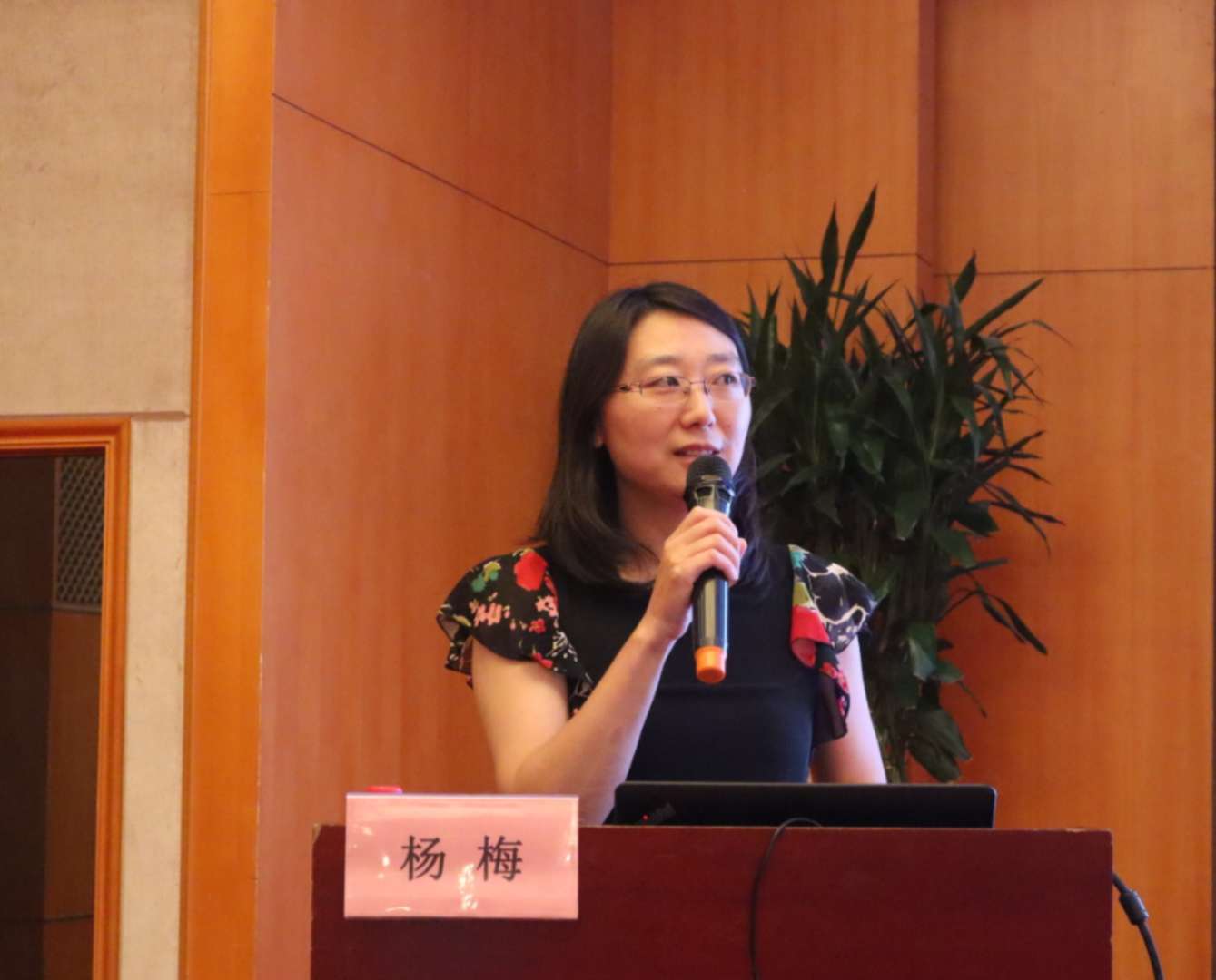 杨梅.jpg