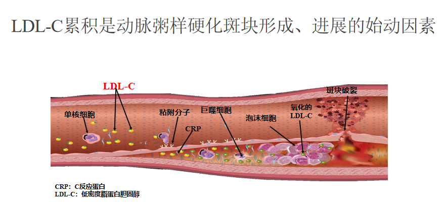 微信截图_20200807135225.png