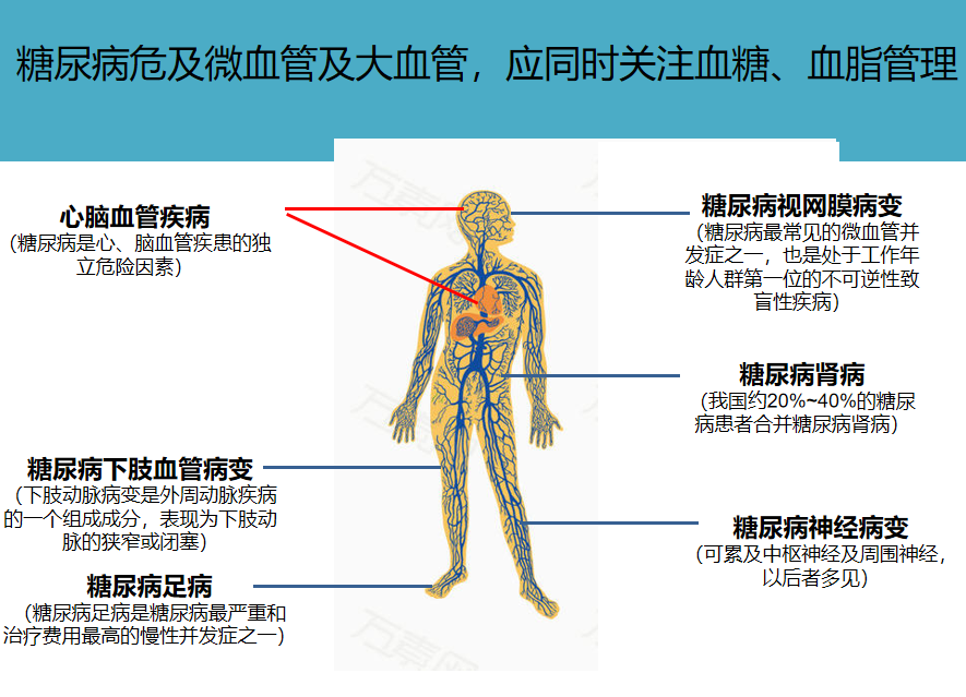 拜新同控釋片 30mg qd易善復膠囊 456mg tid雷貝拉唑鈉腸溶膠囊 20mg