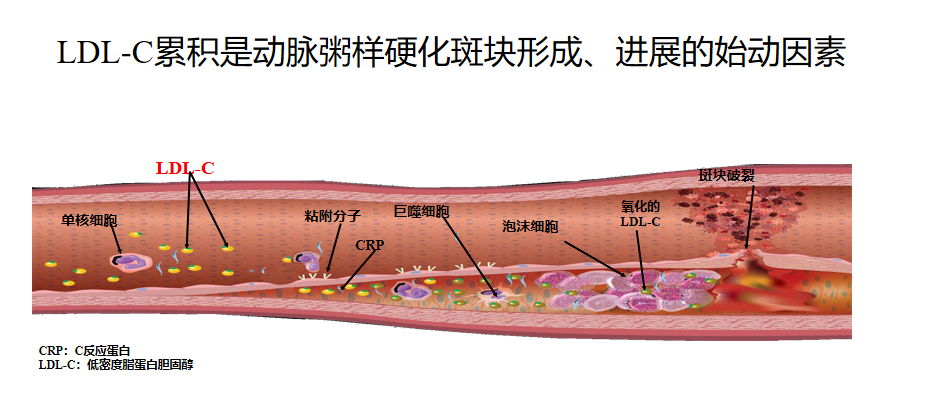 微信截图_20200807132137.png