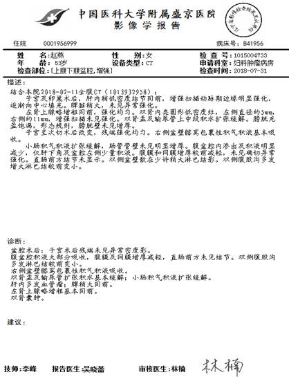 卓越之声中国医科大学附属盛京医院刘晓梅医生parpi用于卵巢癌一线