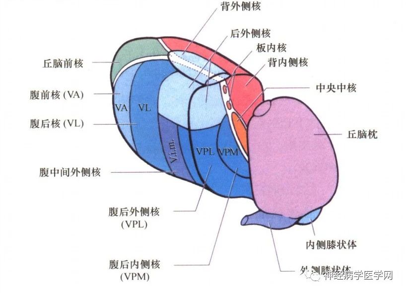 微信图片_20210316163357.jpg