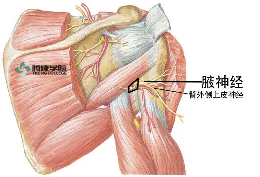 微信图片_20210422174851.jpg