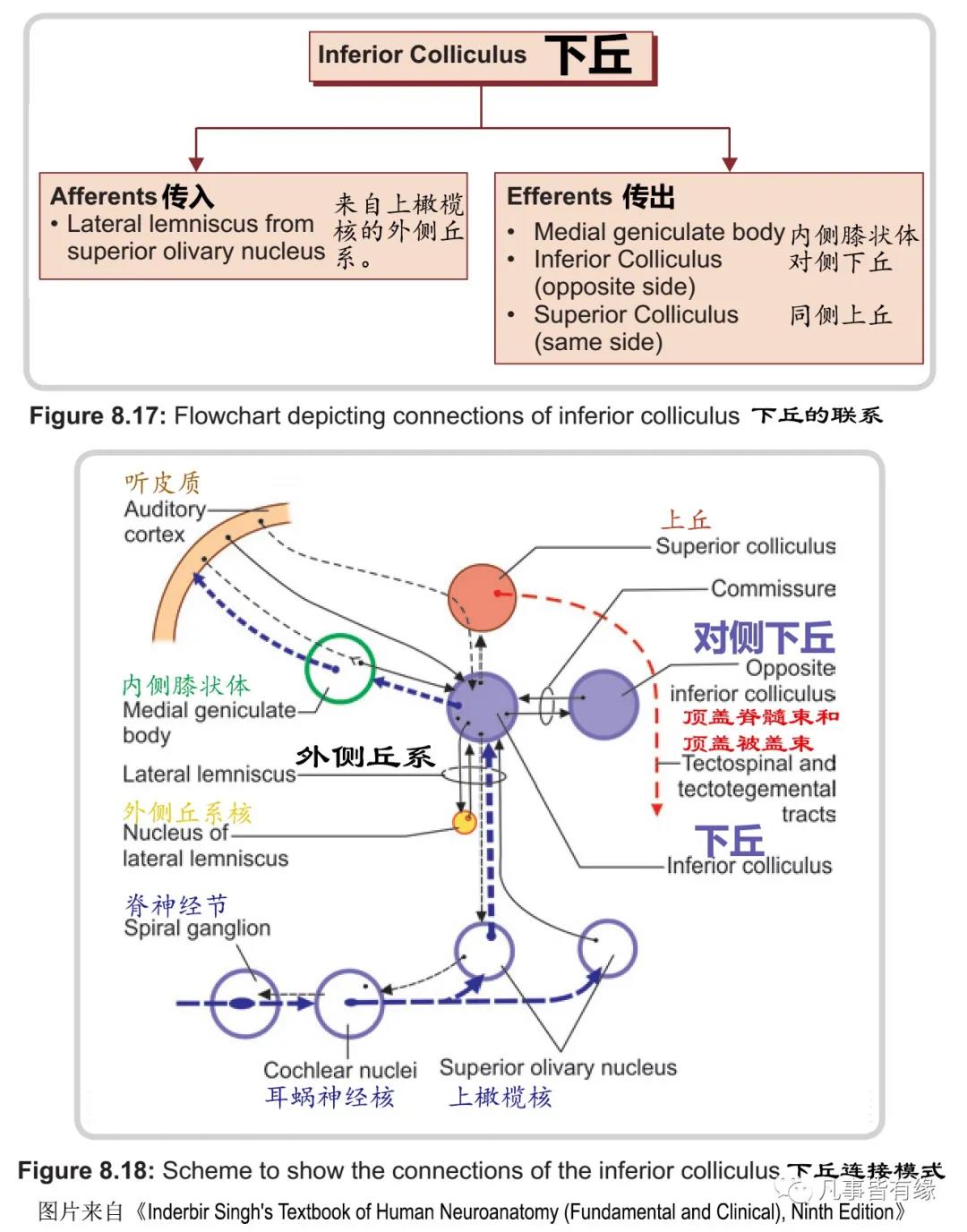 微信图片_20220217150441.jpg