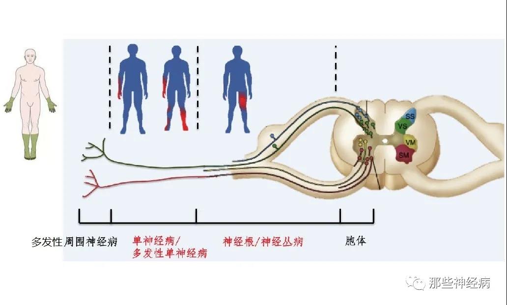 微信图片_20211112111103.jpg