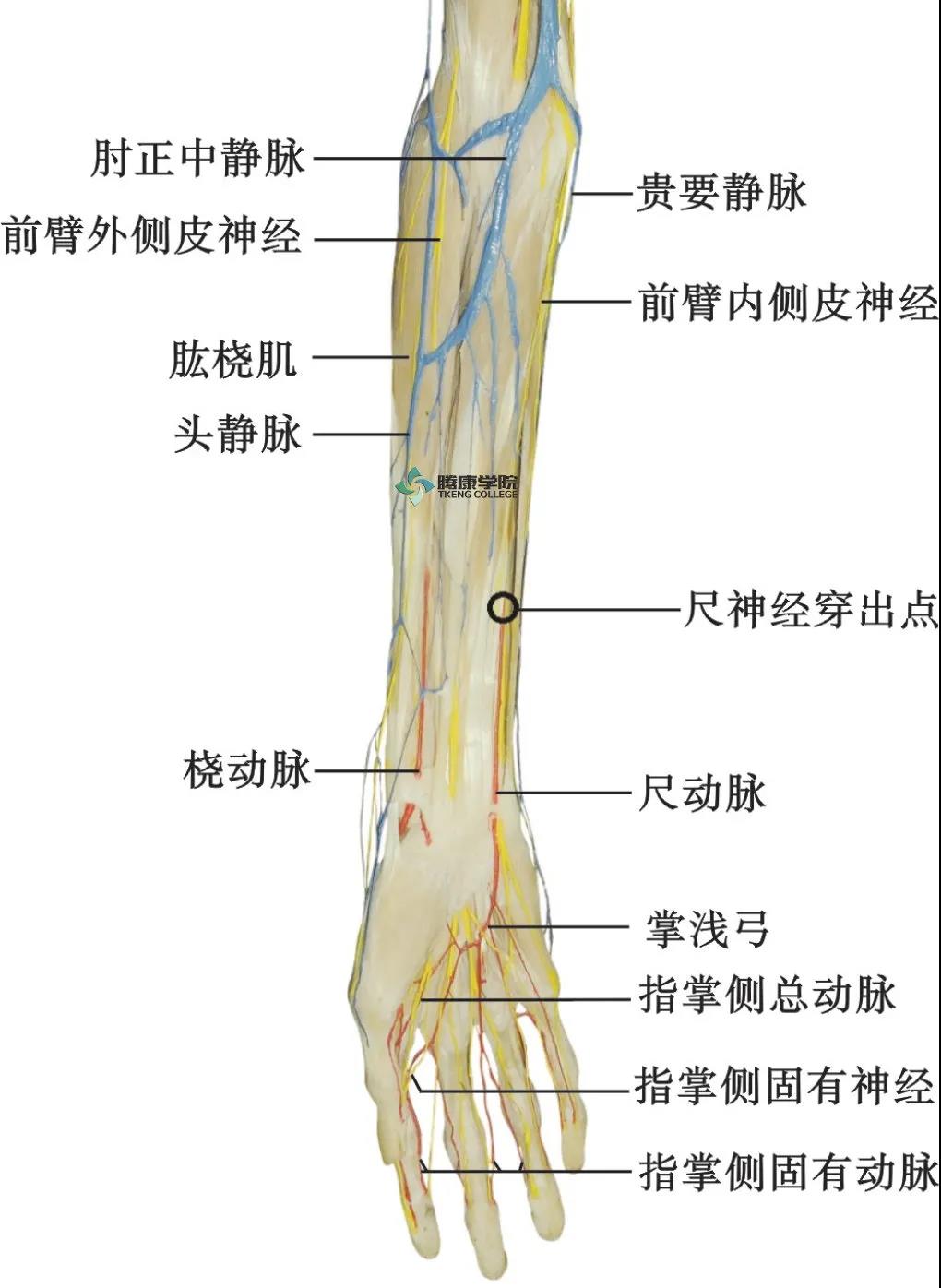 微信图片_20210413164330.jpg