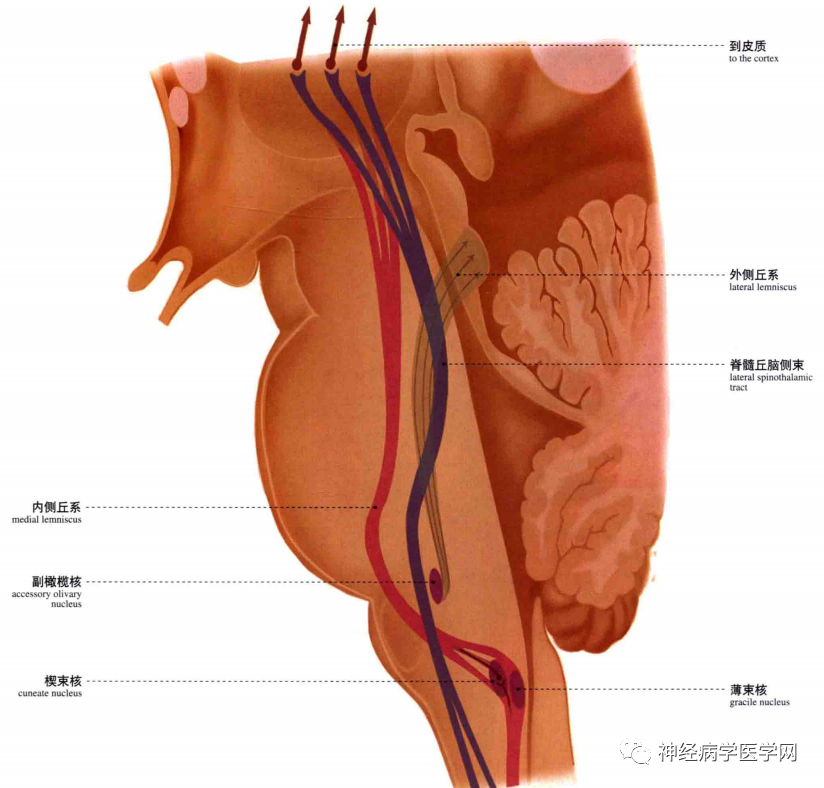 微信图片_20210128164401.png