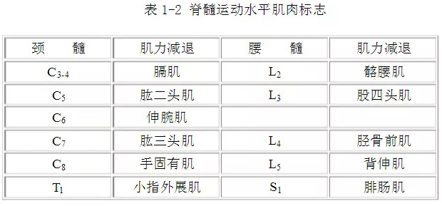 肌张力增高,腱反射亢进出现髌阵挛及踝阵挛及病理反射