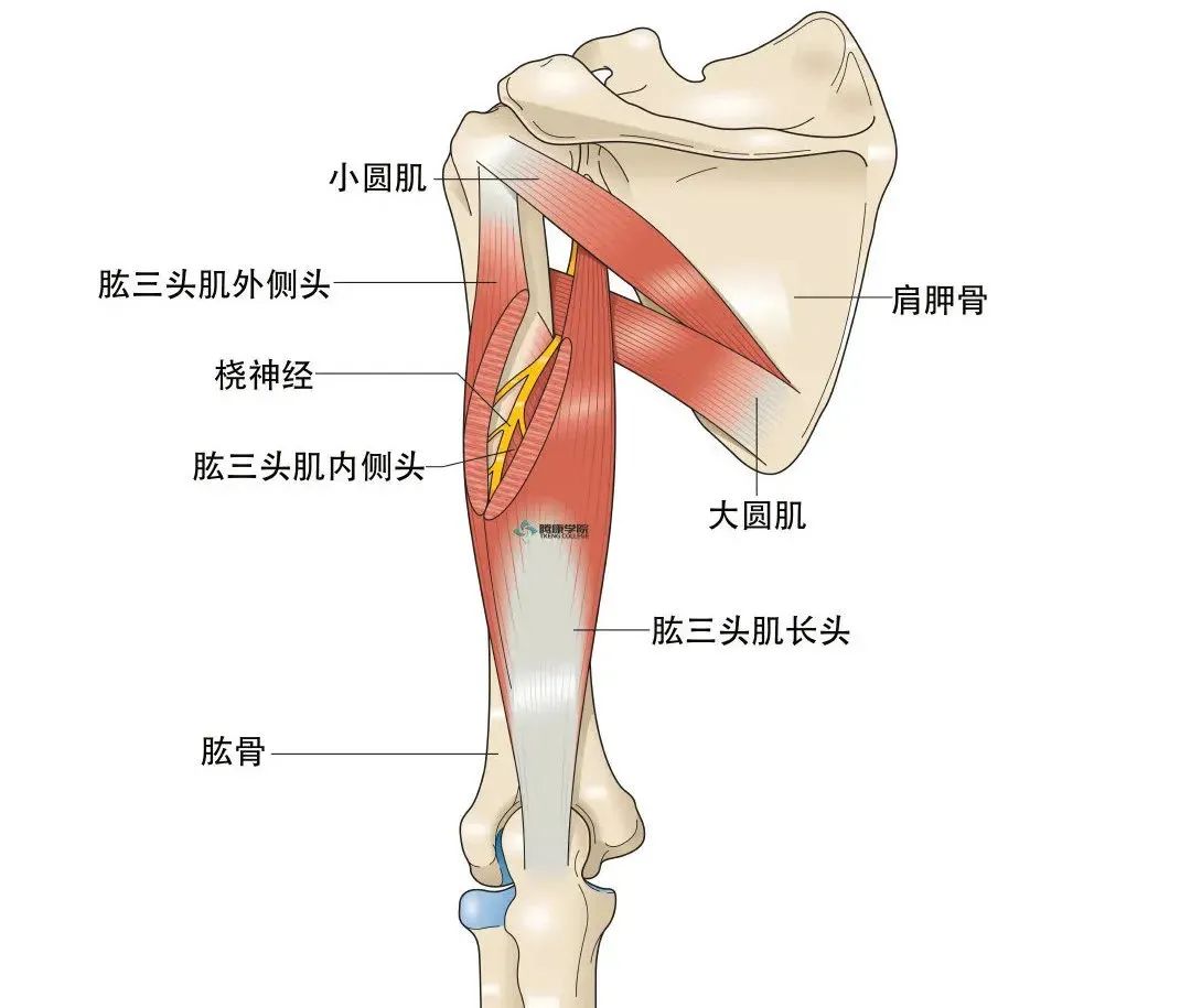 微信图片_20210422174903.jpg