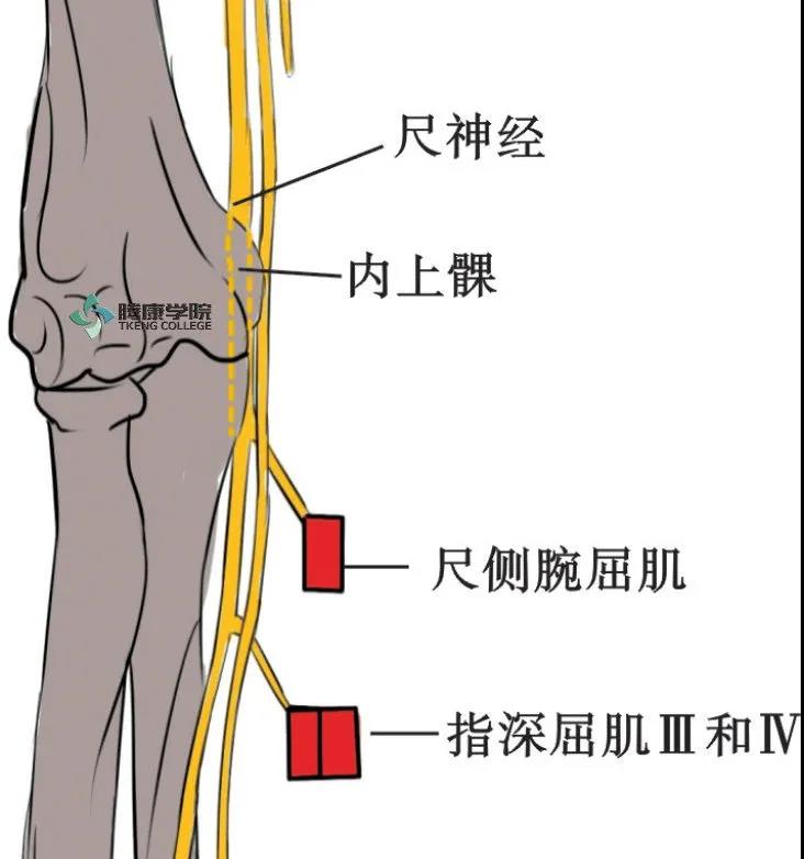 微信图片_20210413164326.jpg