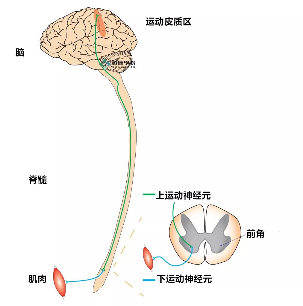 微信图片_20210611141522.jpg