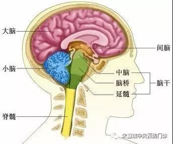 微信图片_20211104132315.jpg