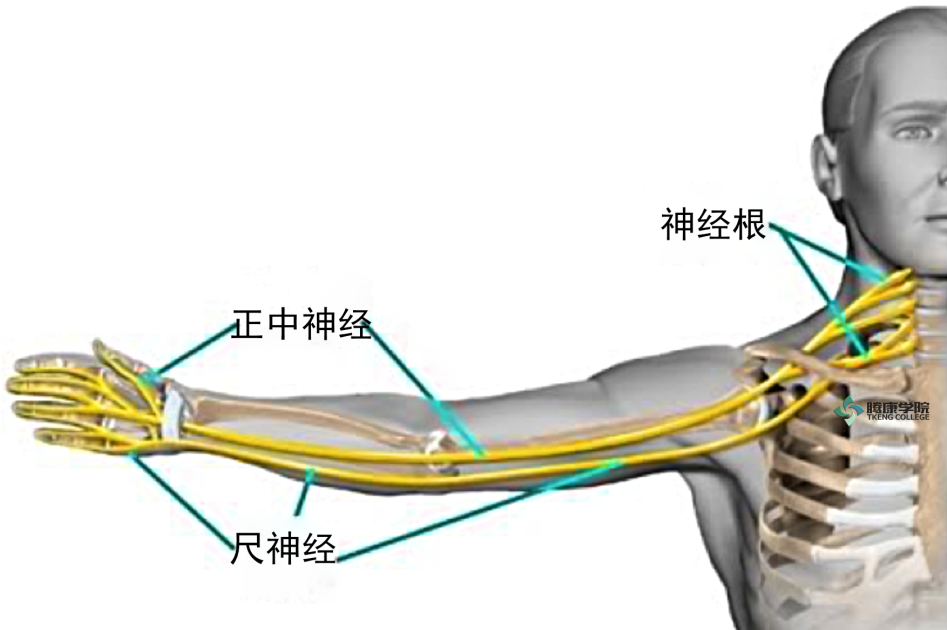 微信图片_20210420171859.png