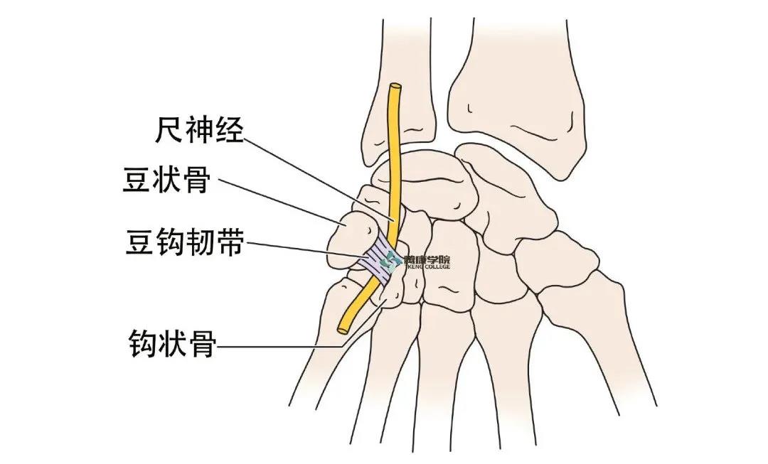 微信图片_20210413164314.jpg