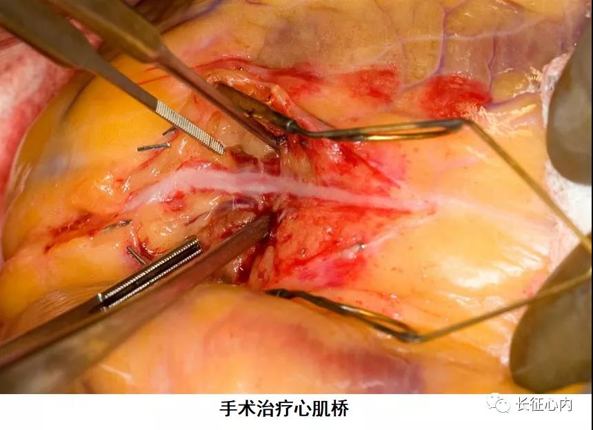 微信图片_20210518171216.jpg
