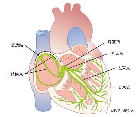 微信图片_20220325102432.jpg