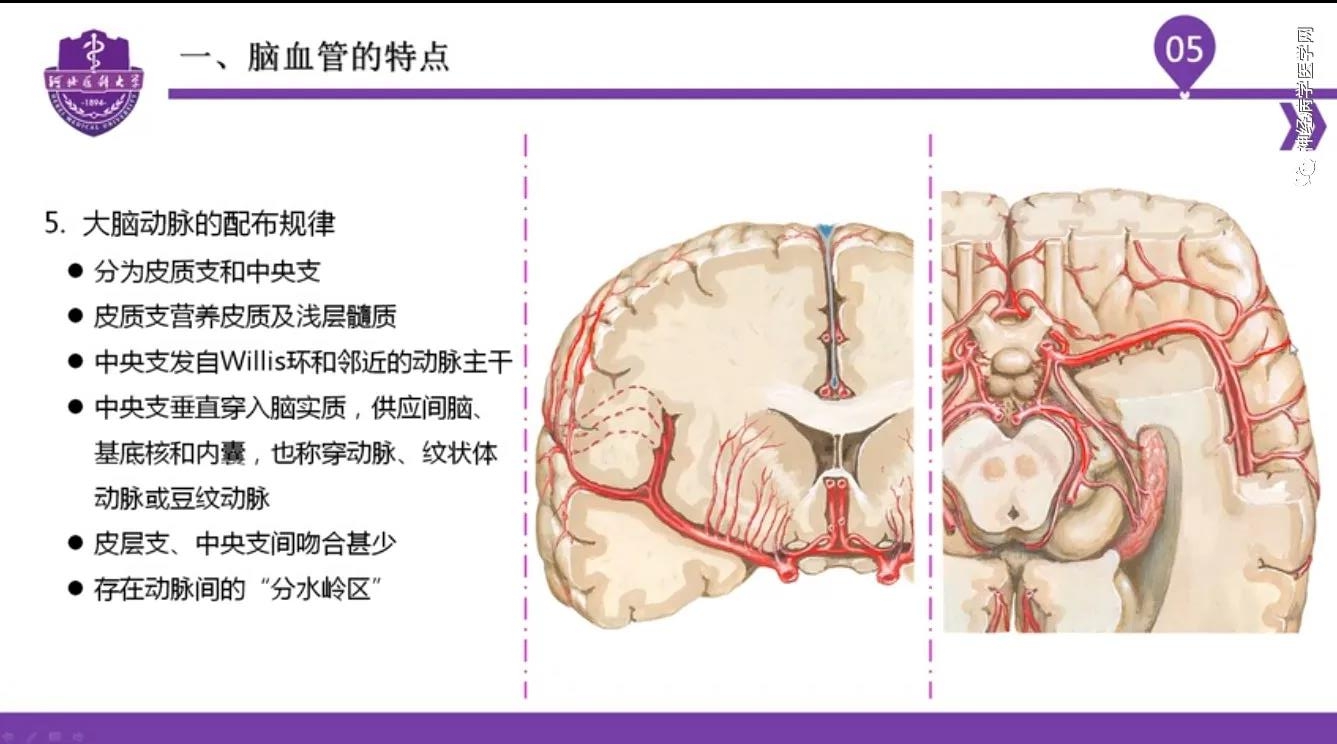 微信图片_20210701134506.jpg