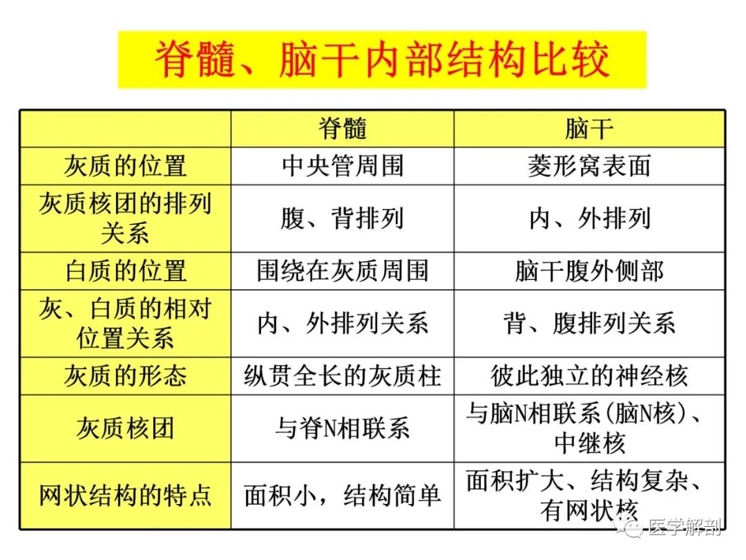 微信图片_20210310165912.jpg