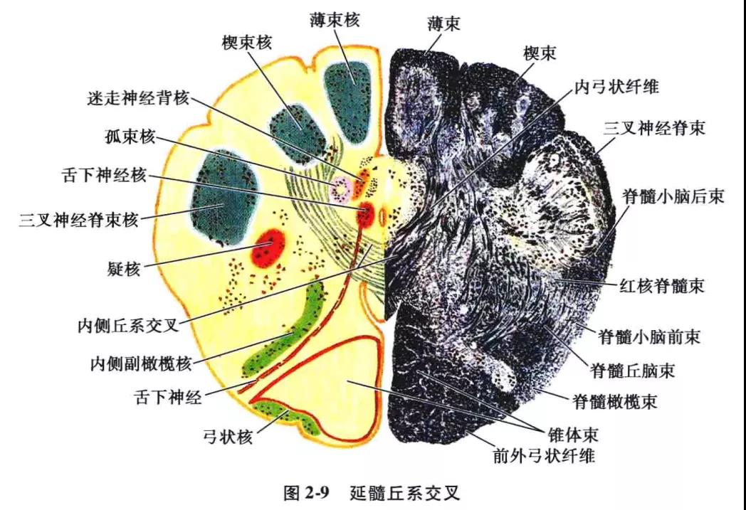 微信图片_20210826162028.jpg