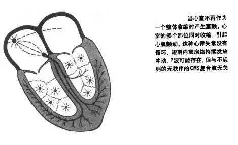 微信图片_20201113154153.jpg