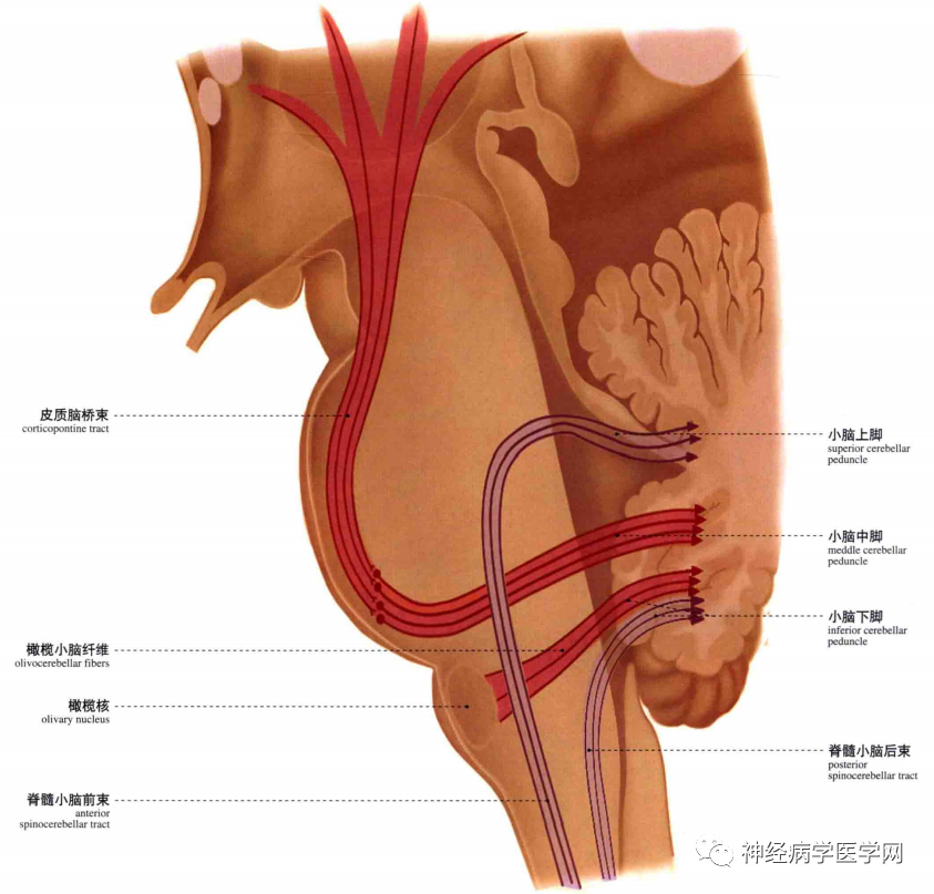 微信图片_20210128164410.png