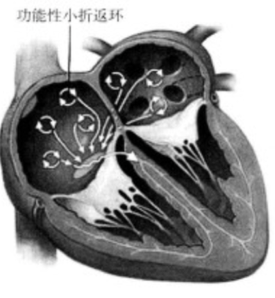 微信图片_20210803153259.png