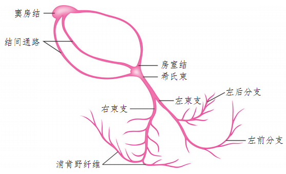 微信图片_20210803152655.png