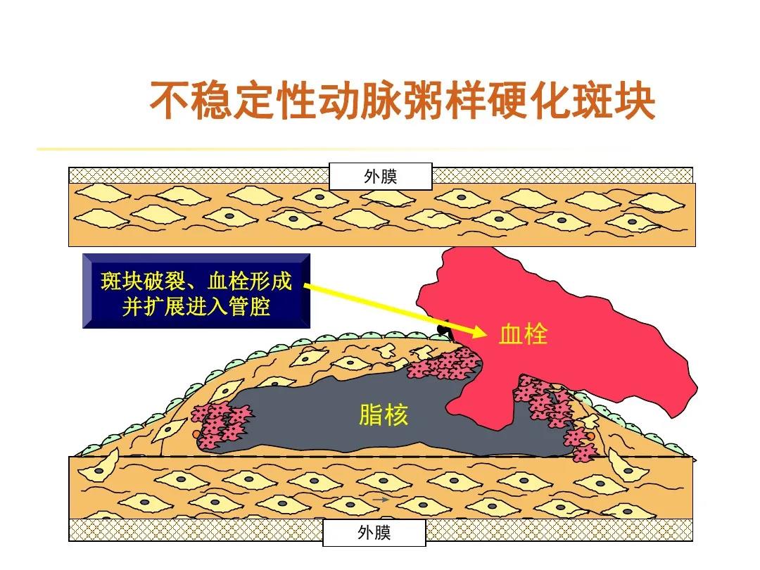 微信图片_20200923140749.jpg