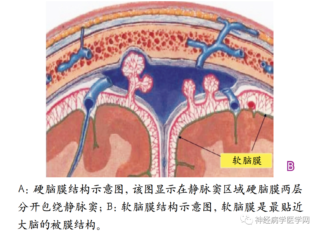 微信图片_20220601153442.png