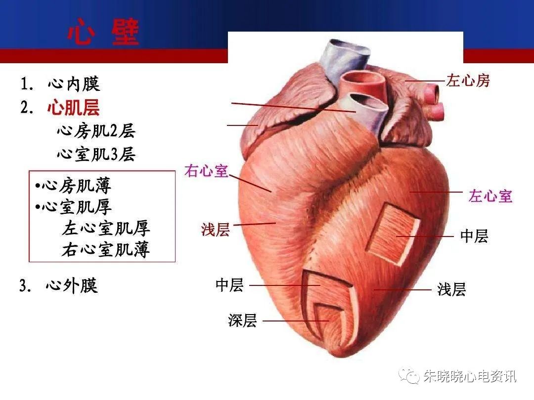 微信图片_20220325102410.jpg